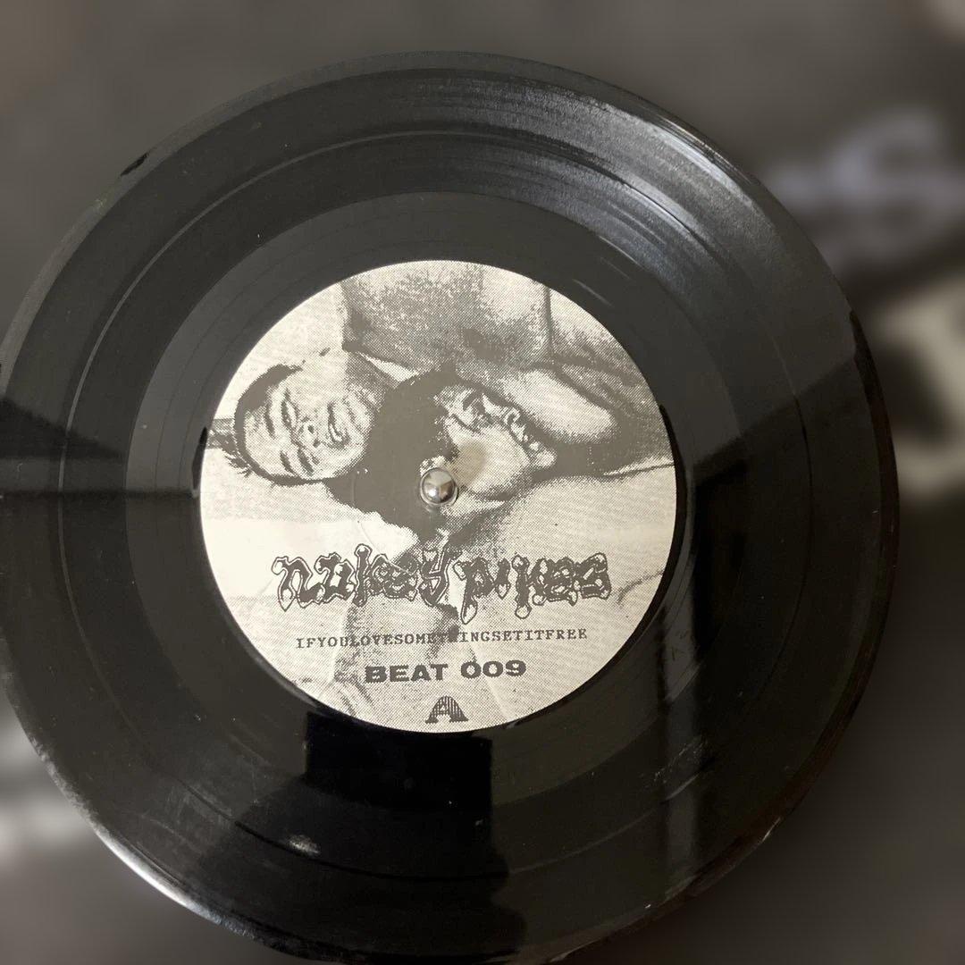 Nukey Pikes - If You Love Something 激レア盤