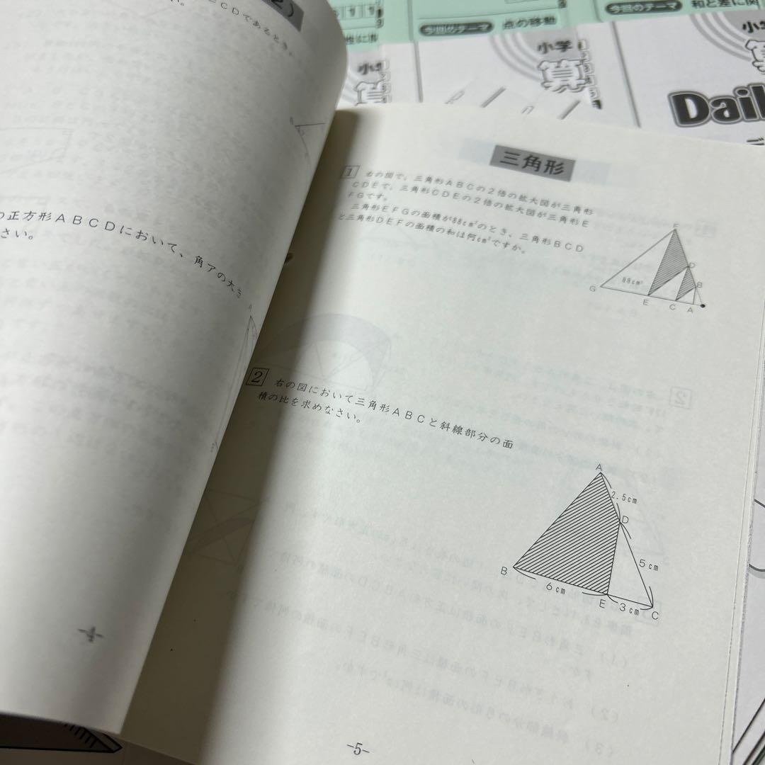⑬AA SAPIX ディリーサピックス　希少上位クラス　一年分フルセット