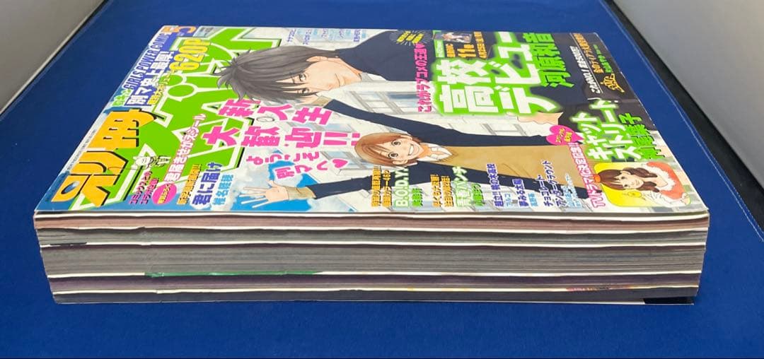 別冊マーガレット2008年5月号 君届きせかえシール付き