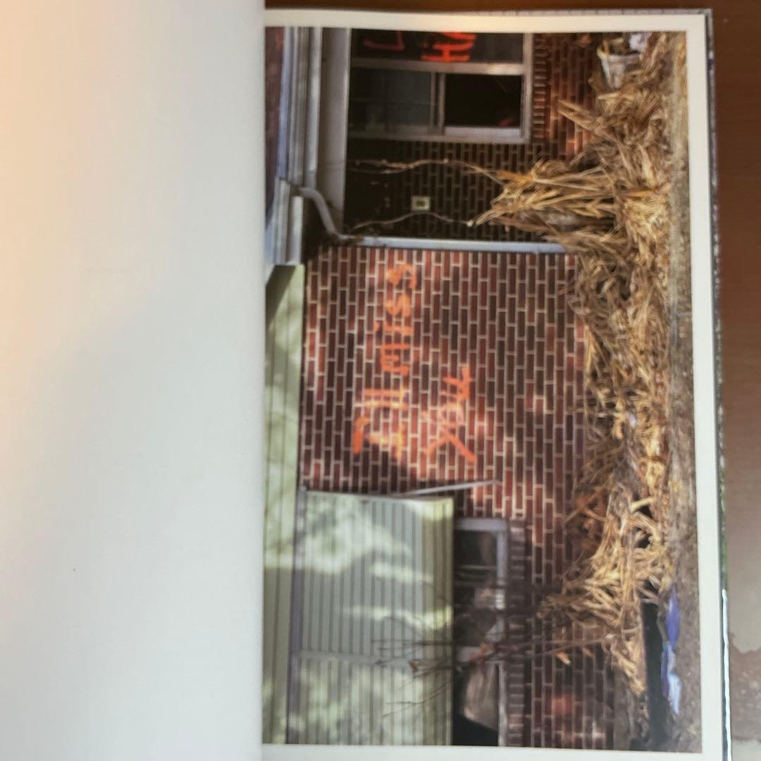 Richard Misrach: Destroy This Memory 写真集