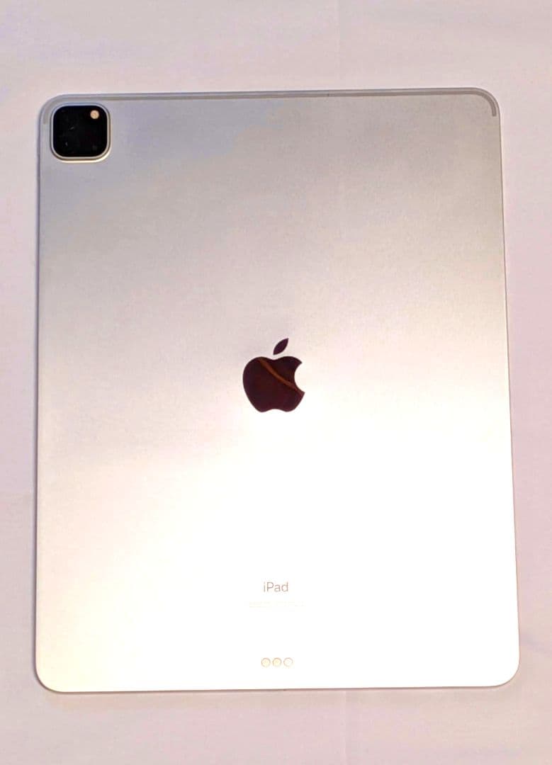 【Zz】iPad Pro12.9 第4世代+Apple Pencil
