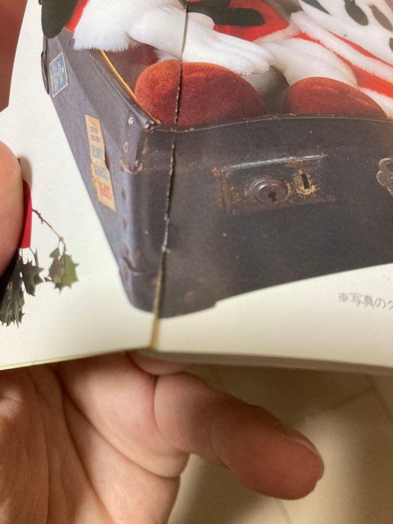 当時物　激レア　東京ディズニーランド　本　9冊セット　1993年〜2013年