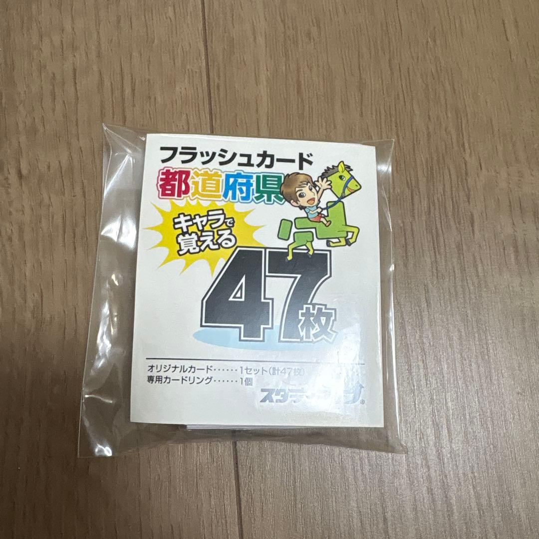 白地図ピース 重ねて覚える191ピース