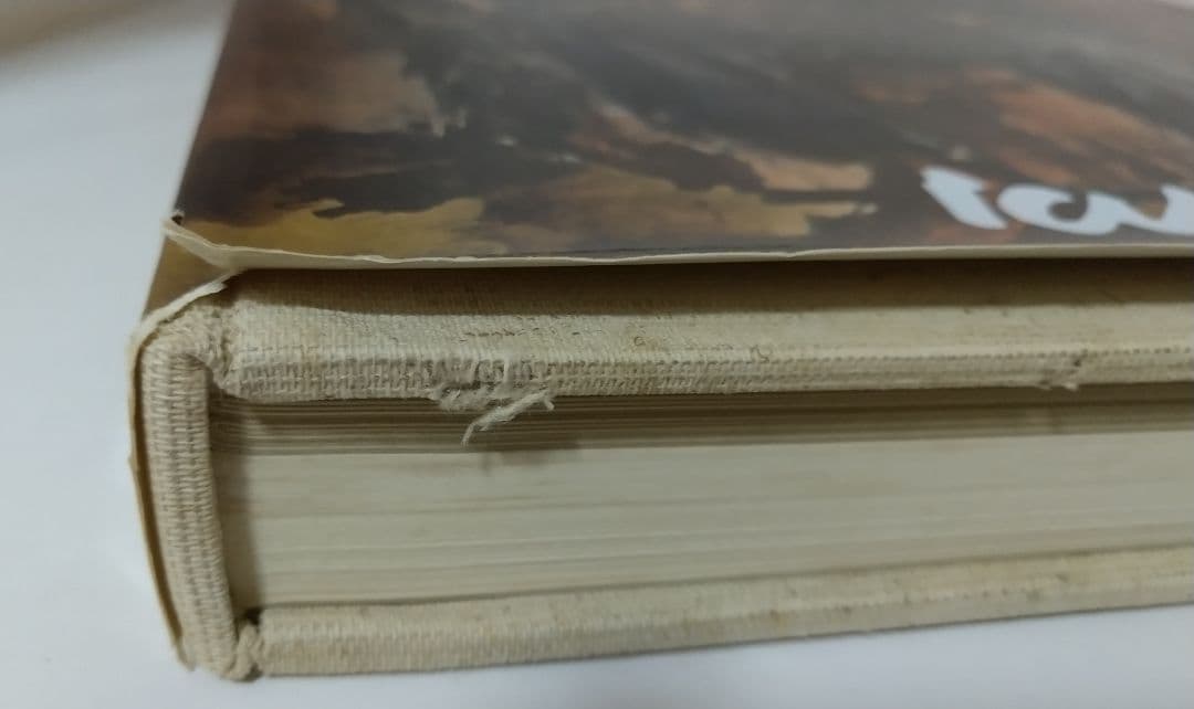 ポール・マス Paul MAAS 絵画作品のカタログ 洋書