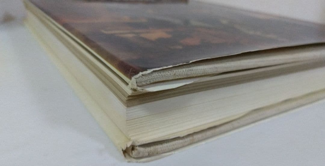 ポール・マス Paul MAAS 絵画作品のカタログ 洋書