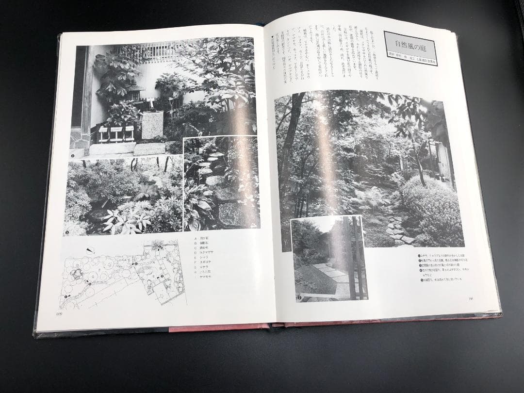 住まいの小庭　実例：庭のデザインシリーズ4　訳あり格安