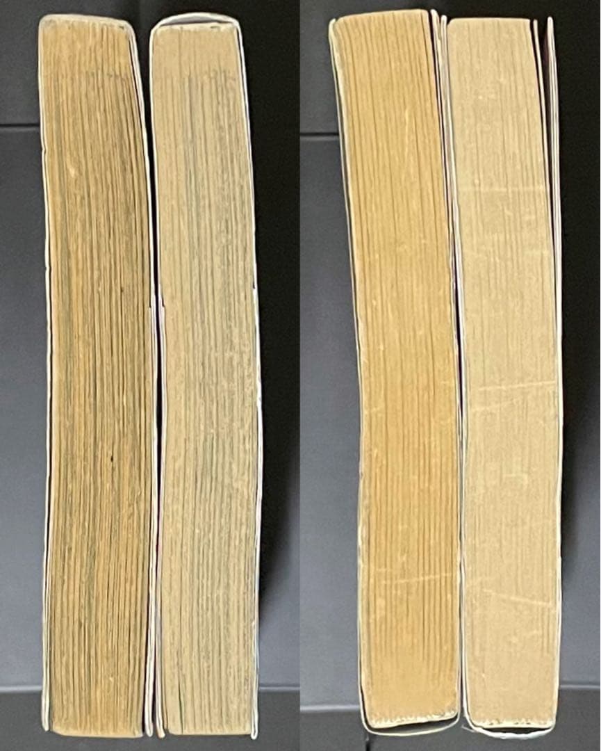 ジョジョの奇妙な冒険 エラー本 5巻(1冊のみ) 【オマケ付き】