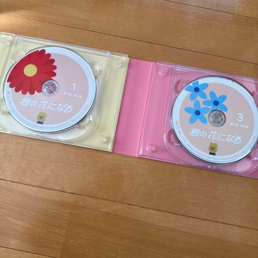 あーちゃん　君の花になる　DVD BOX セット
