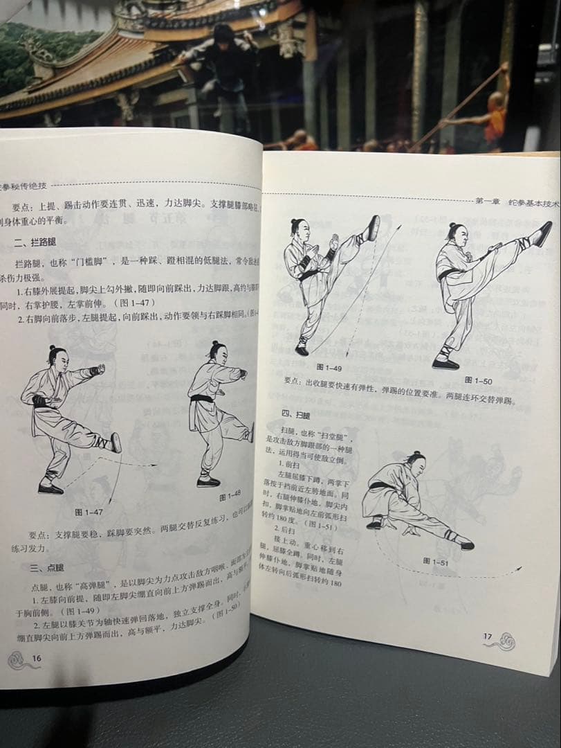 中国武術 カンフー少林寺 蛇拳 教本激レア！