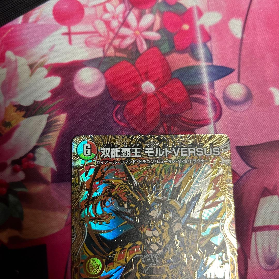 双龍覇王 モルトVERSUS シークレット