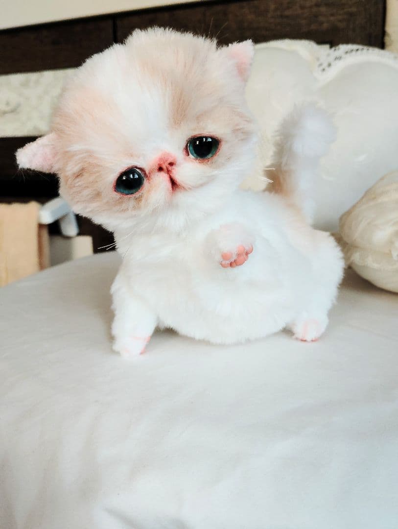 フリフリハンギングバスケットと❤エキゾチック子猫ちゃん❤アートドール♡ぬいぐるみ