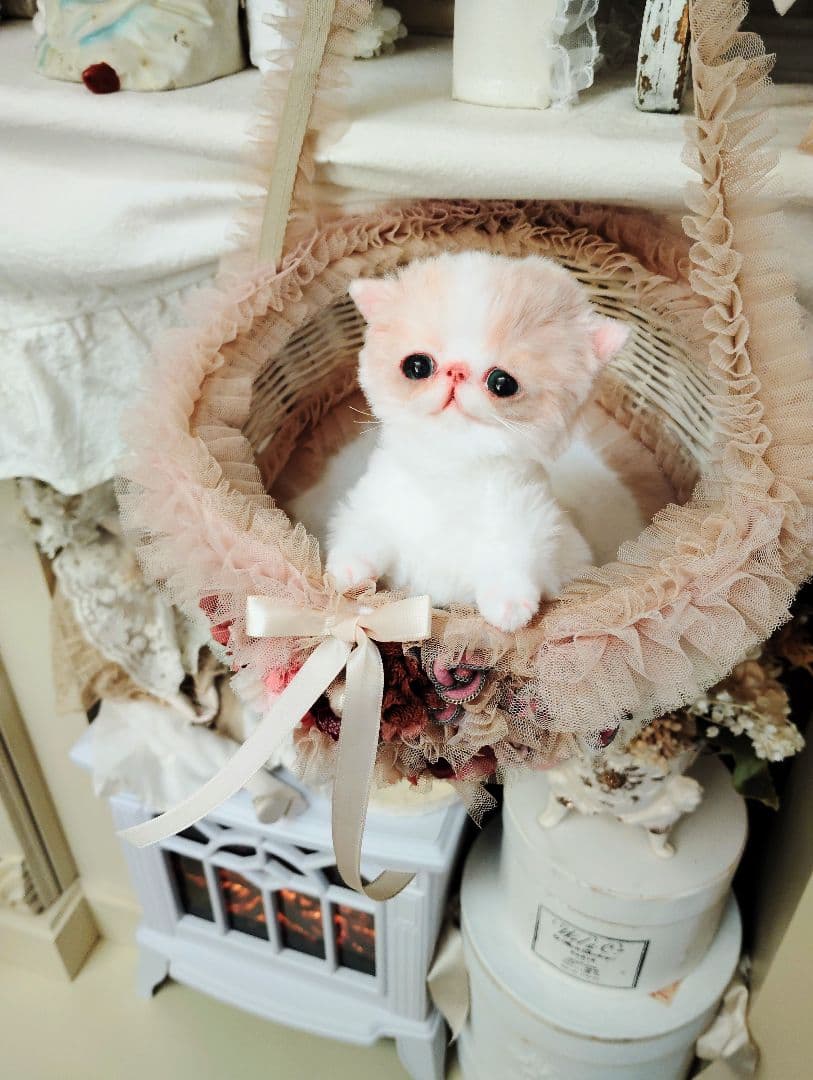 フリフリハンギングバスケットと❤エキゾチック子猫ちゃん❤アートドール♡ぬいぐるみ