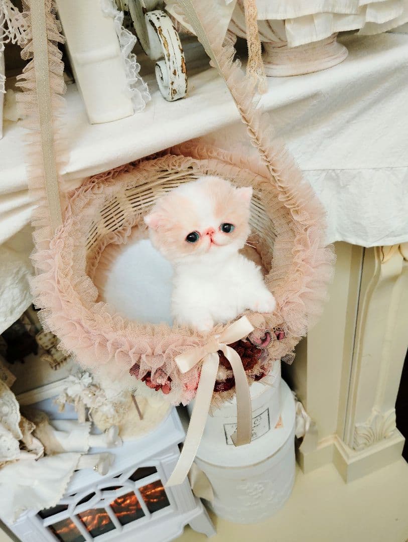 フリフリハンギングバスケットと❤エキゾチック子猫ちゃん❤アートドール♡ぬいぐるみ