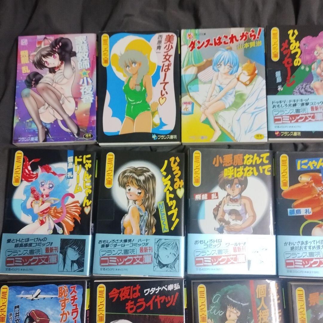フランス書院コミック文庫まとめて18冊!