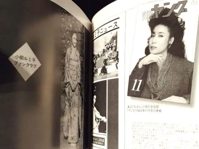 ●送料込● 11CD＋DVD 小柳ルミ子 デラックス・ボックス BOX DVD