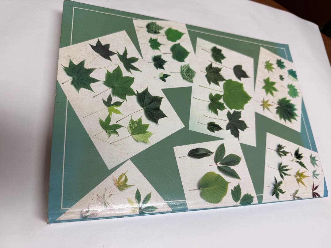 Book for Maples カエデの本　初版　矢野正善