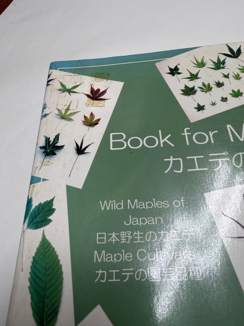 Book for Maples カエデの本　初版　矢野正善
