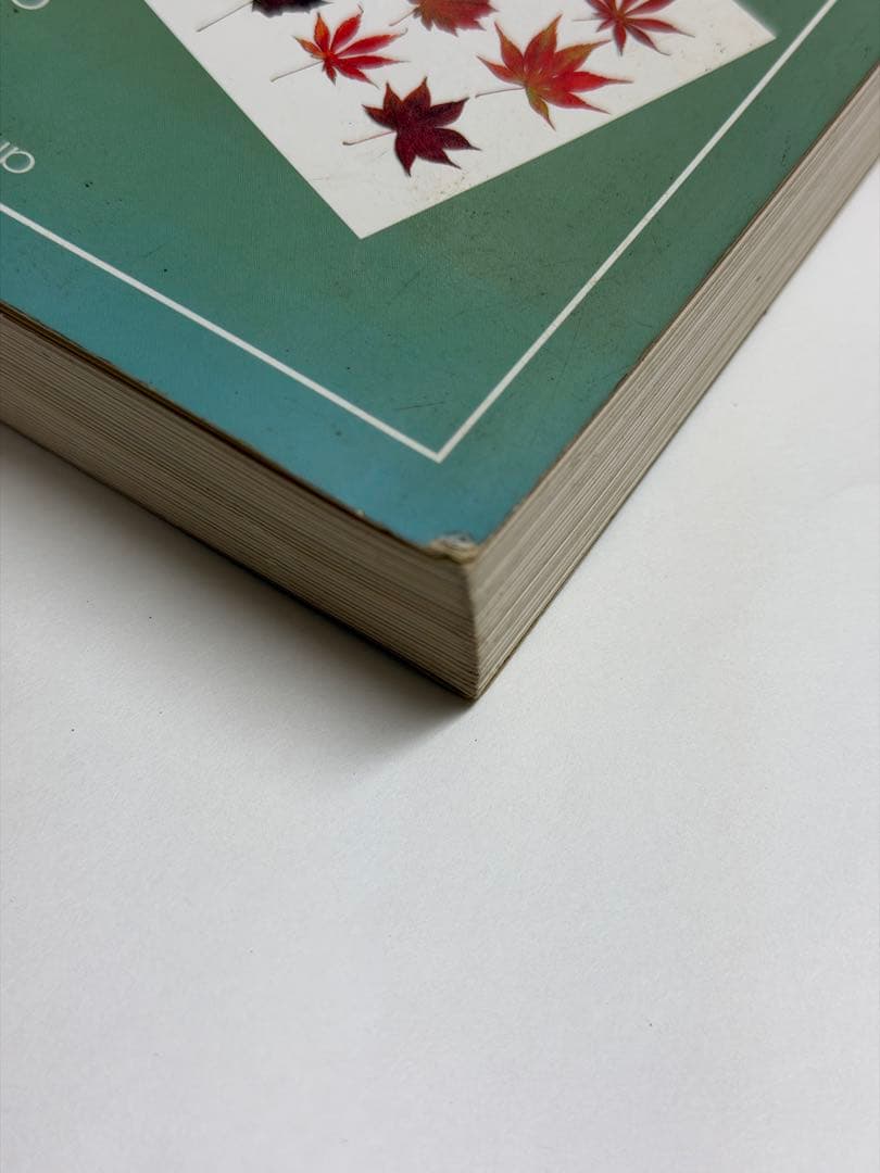 Book for Maples カエデの本　初版　矢野正善