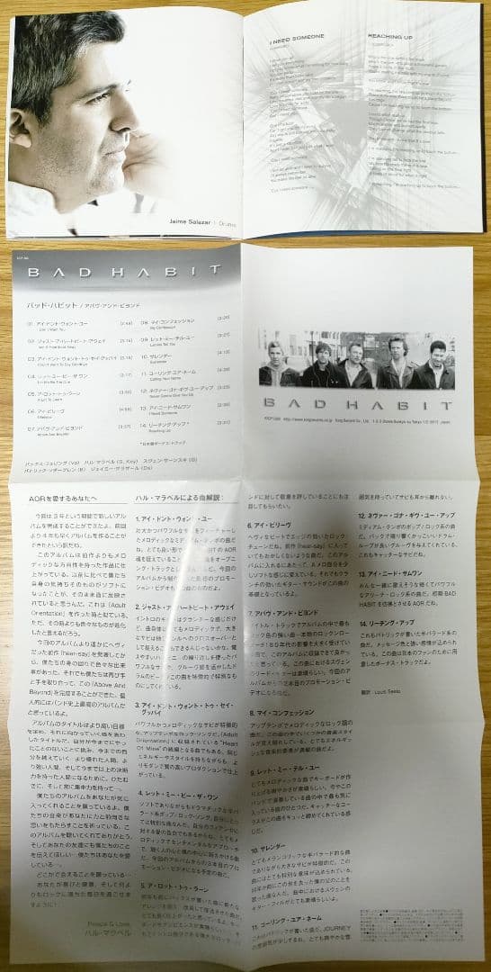 廃盤帯付日本盤BADHABIT2枚セットアダルト&アバヴ名盤メロハーAOR希少品