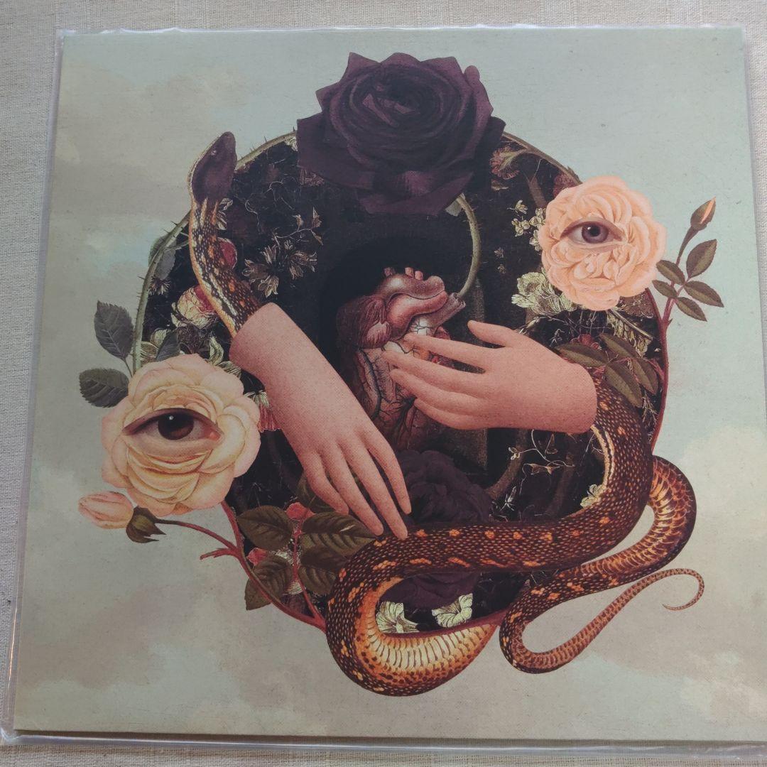 洋楽 Rose Noir / Bloom EP (limited edition)
