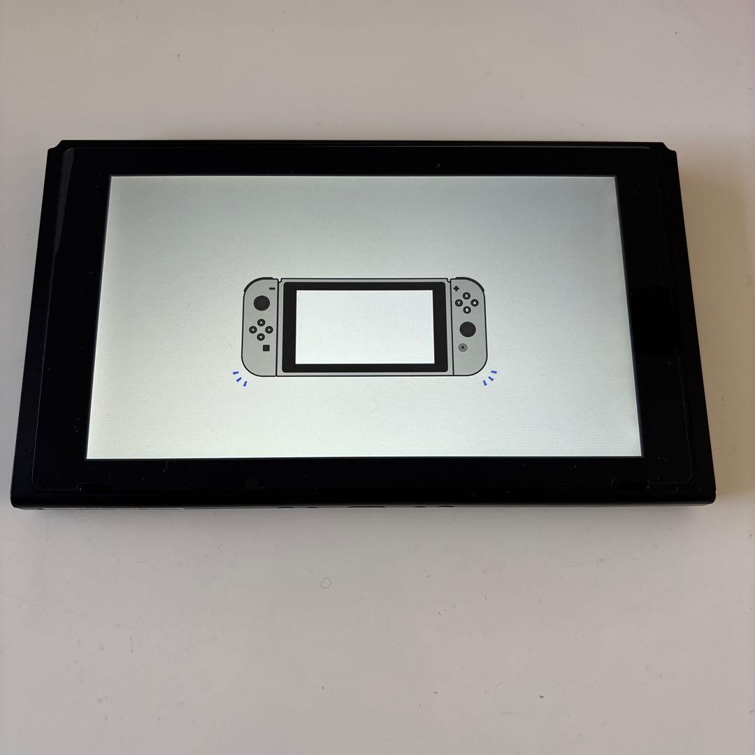 Nintendo Switch 本体 グレー ケース proコン おまけ付き