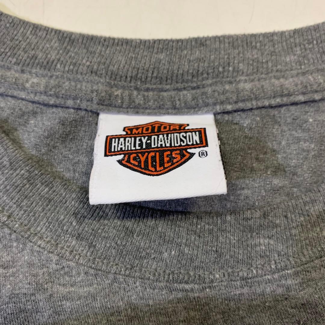 usa古着 HARLEY-DAVIDSON ダズマニアンデビル Tシャツ 2XL