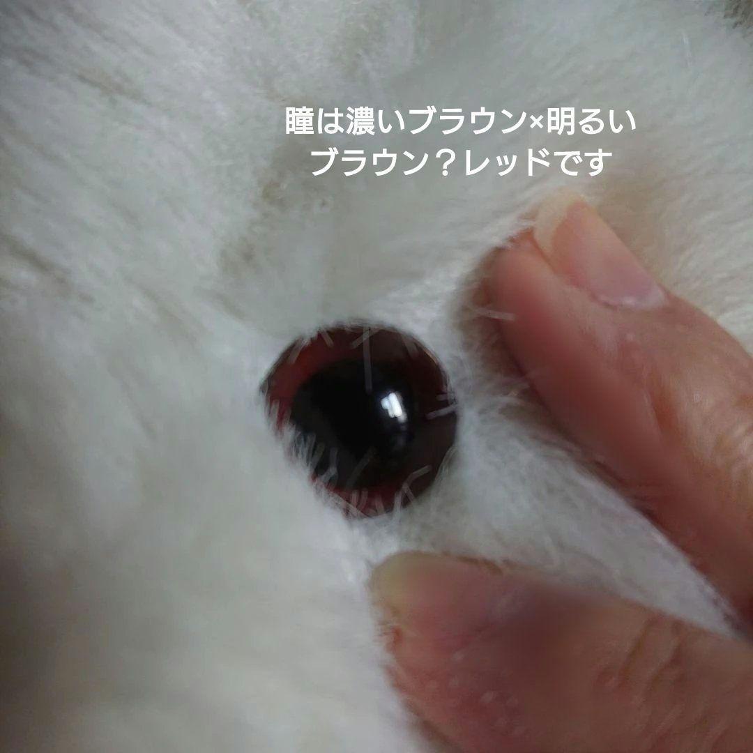 ファースト社　日本製　しろくま　貴重！