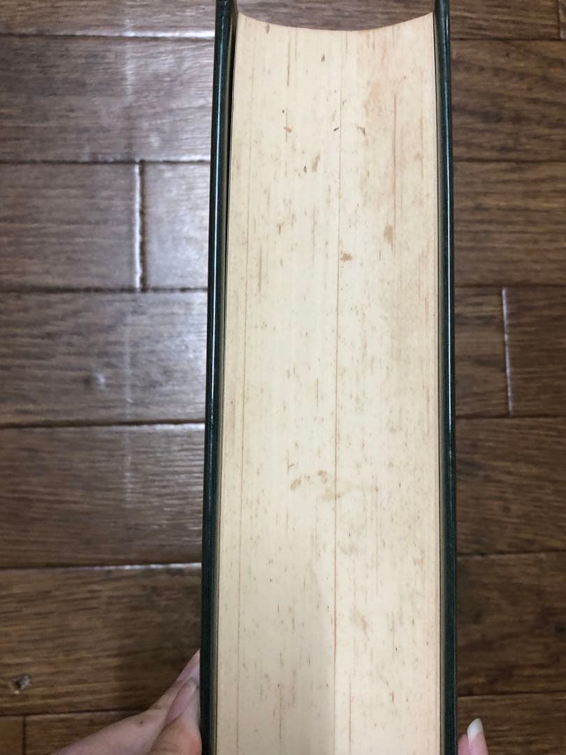聖中心道 肥田式強健術【匿名配送】