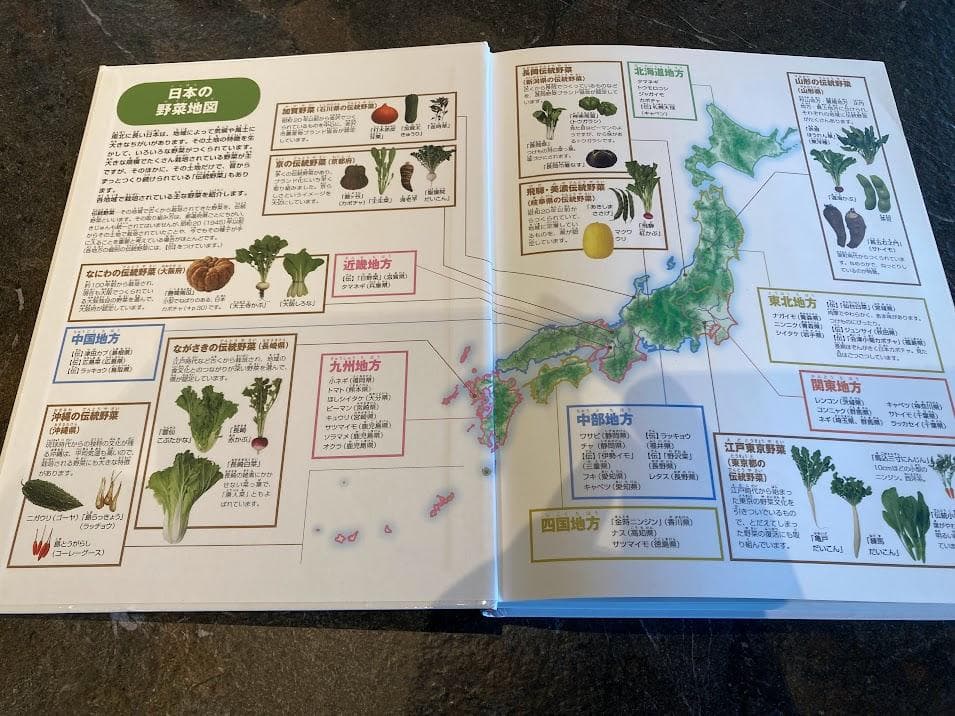 【小学校受験】小学館NEO 知育図鑑と読み聞かせ8冊セット　春休みに最適