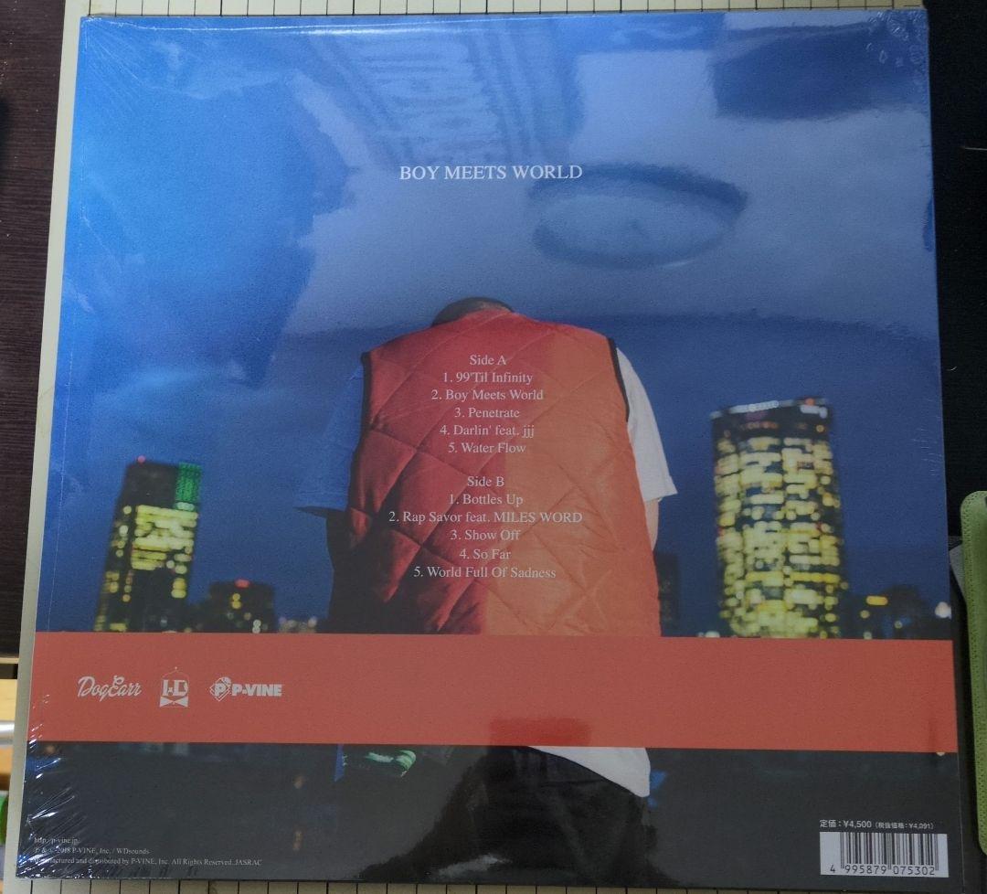 仙人掌　BOY MEETS WORLD LP レコード