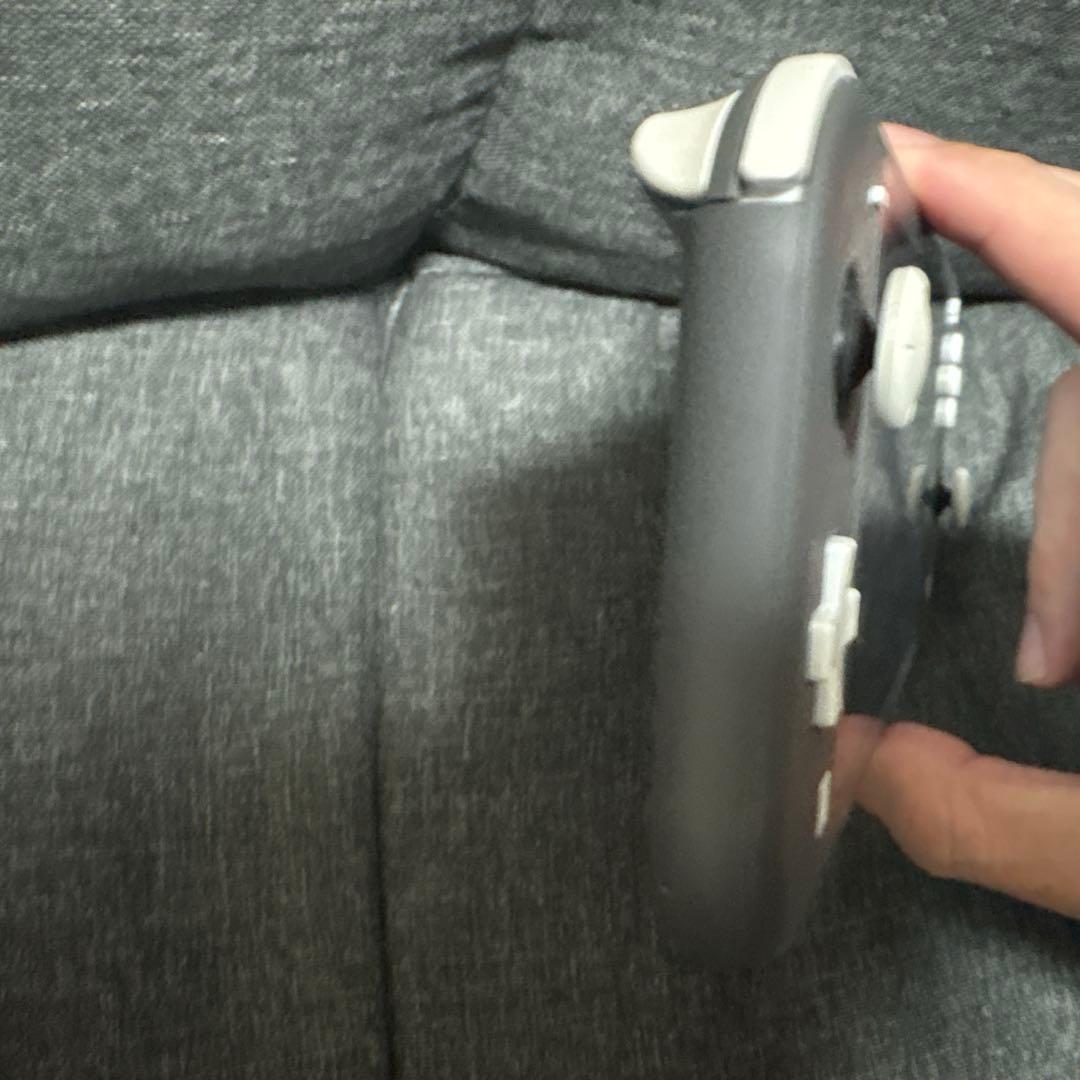 Nintendo Switch Switch Lite GLAY