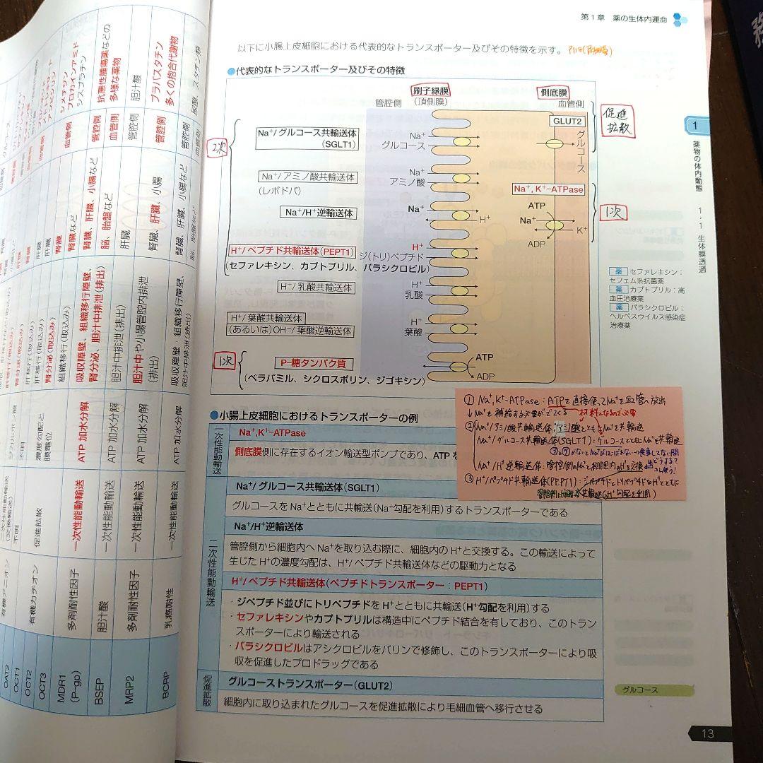 さっくん 薬学ゼミナール 第109回 薬剤師国家試験対策[改訂第13版]