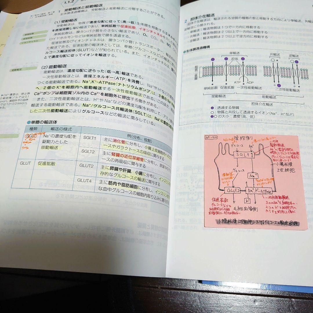さっくん 薬学ゼミナール 第109回 薬剤師国家試験対策[改訂第13版]