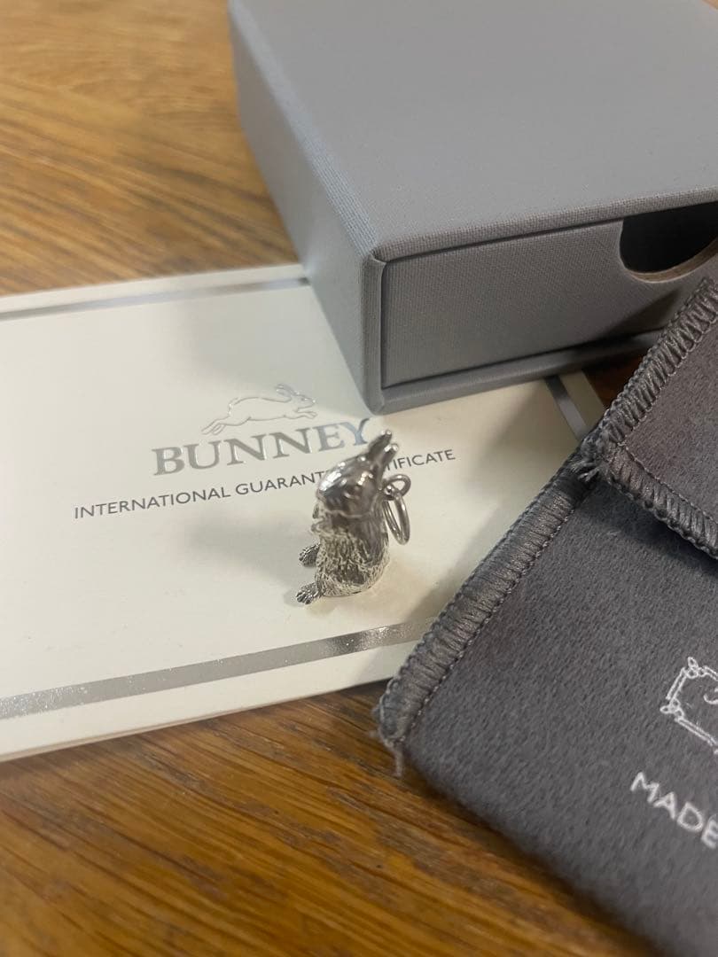 チ*ー様 ほぼ未使用‼️ BUNNEY Standing Rabbit Char