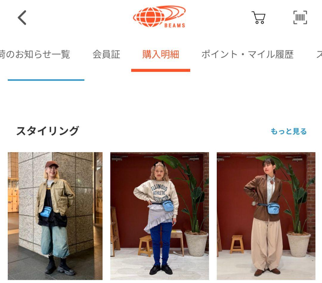 バッグ ARC'TERYX Mantis1 Waist Pack
