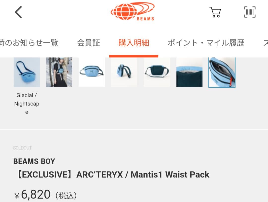 バッグ ARC'TERYX Mantis1 Waist Pack