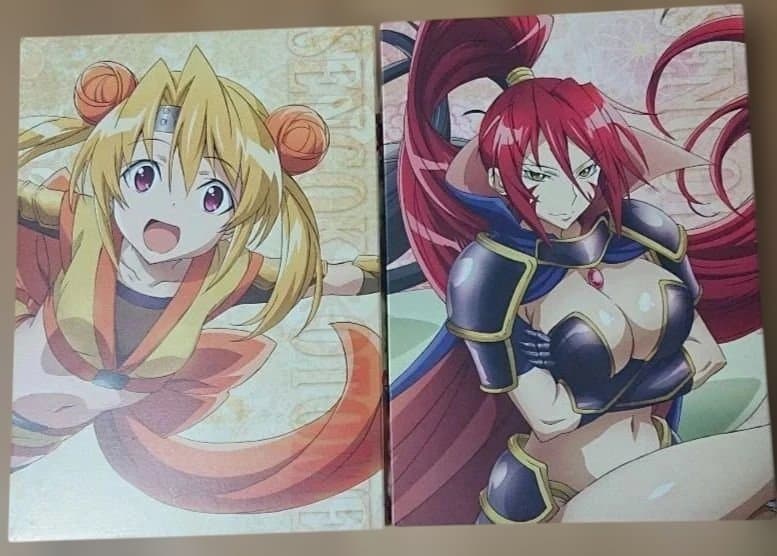 入手困難‼️【廃盤・美品】戦国乙女～桃色パラドックス～DVD 全7巻セット