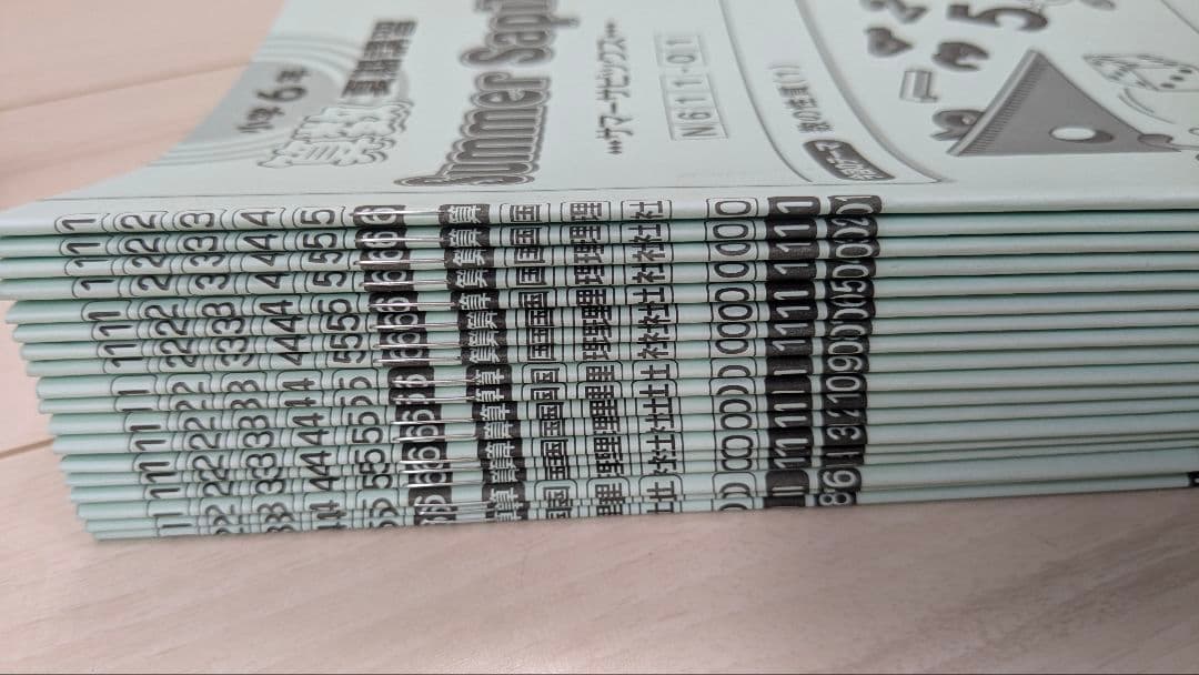2025年度6年算数デイリーサピックス全38冊＋春夏冬全テキスト＋おまけつき