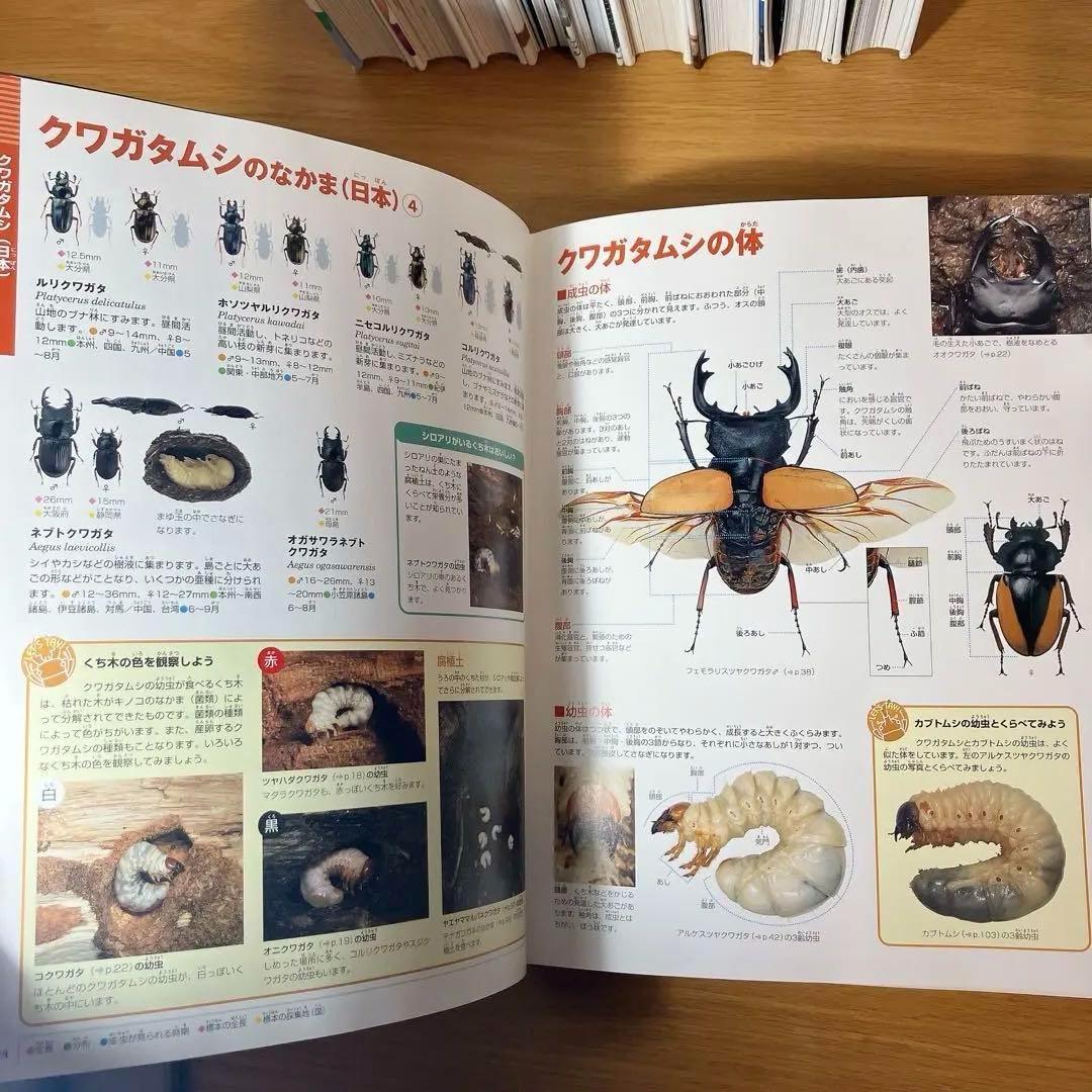小学館の図鑑　NEO NEO➕9冊　と図鑑3冊　合計12冊セット