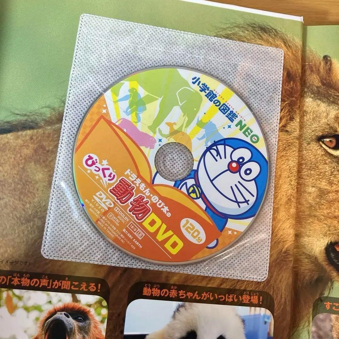 小学館の図鑑　NEO NEO➕9冊　と図鑑3冊　合計12冊セット