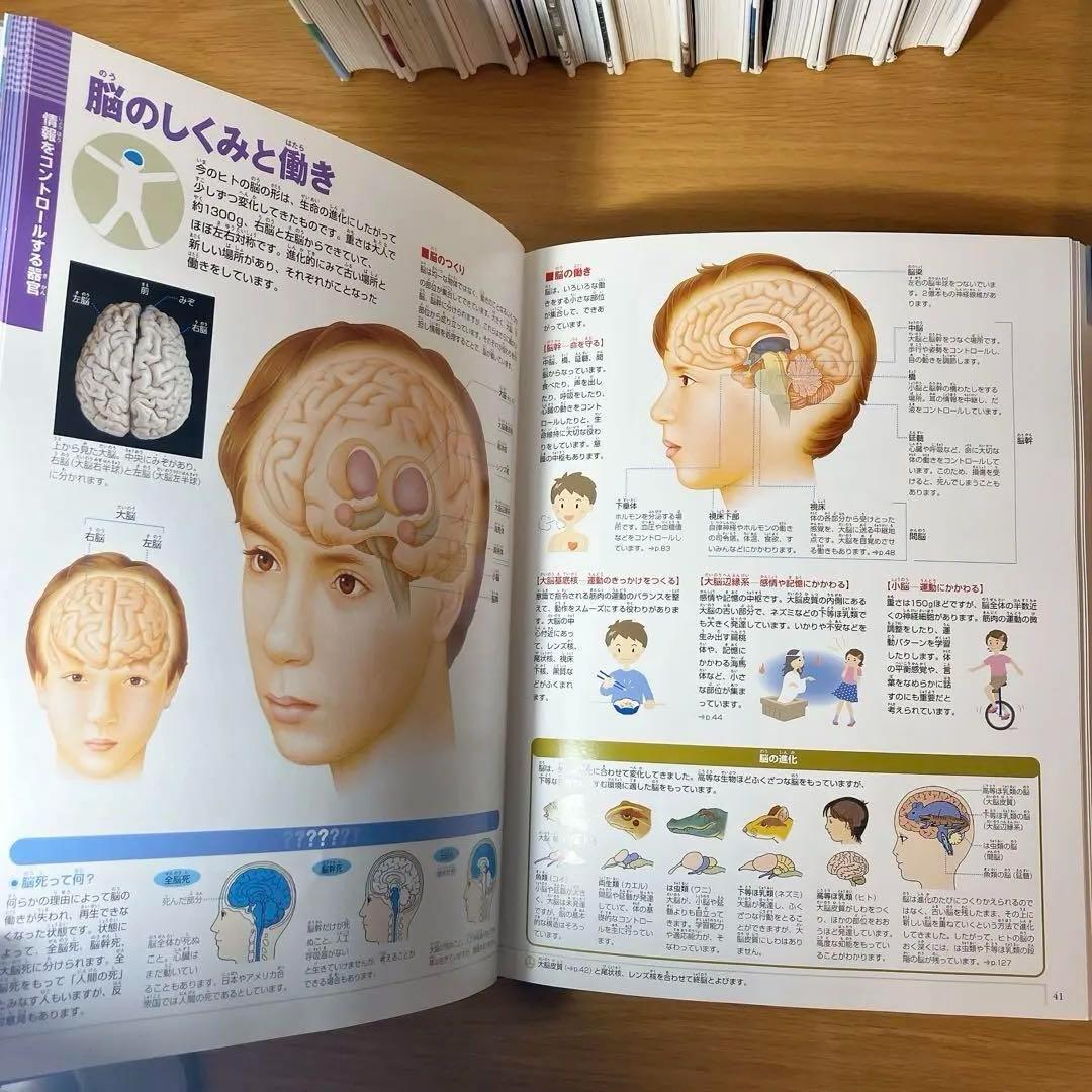 小学館の図鑑　NEO NEO➕9冊　と図鑑3冊　合計12冊セット