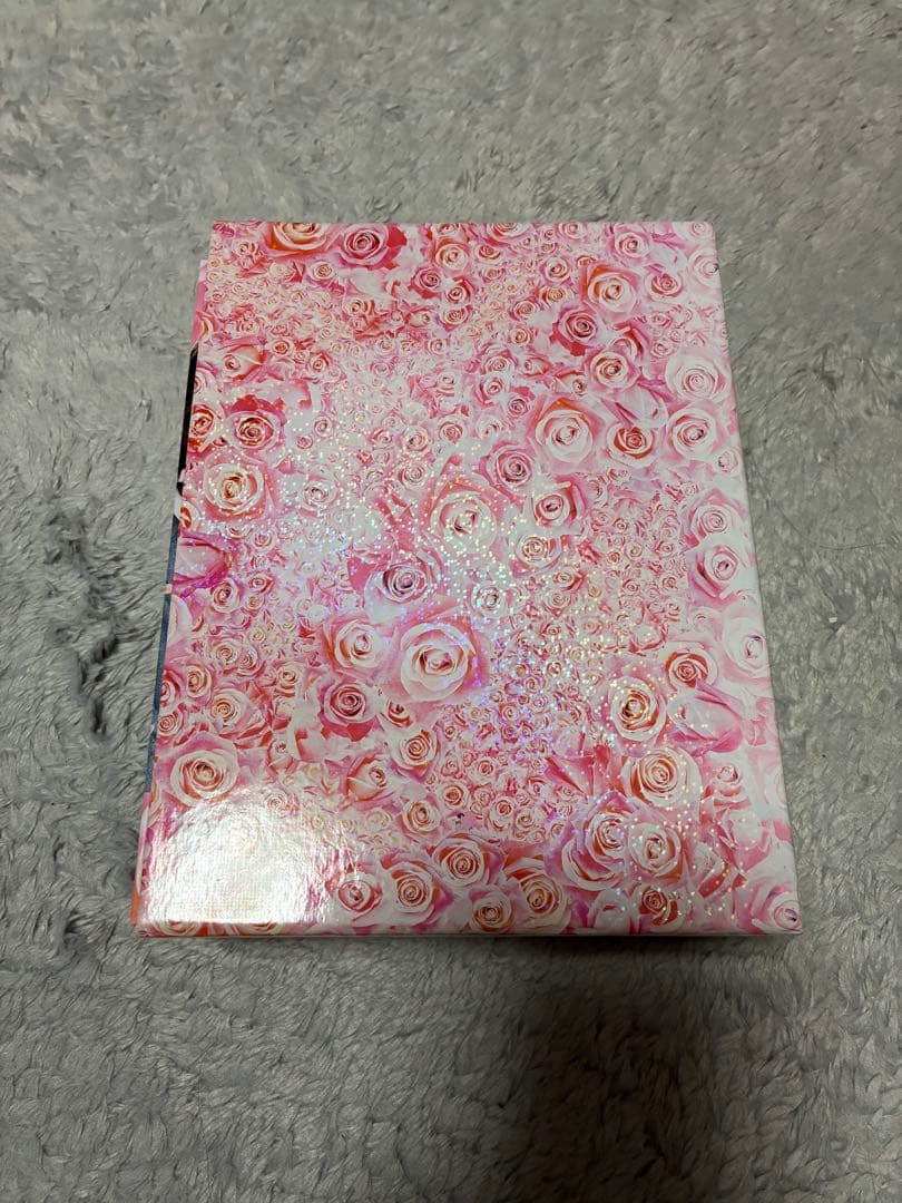 メイちゃんの執事 DVD-BOX