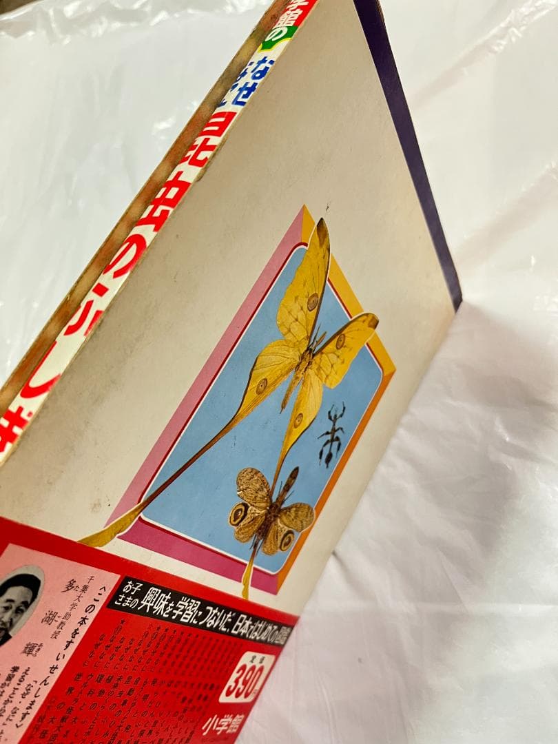 帯付き 小学館 なぜなに学習図鑑 13 昆虫のふしぎ