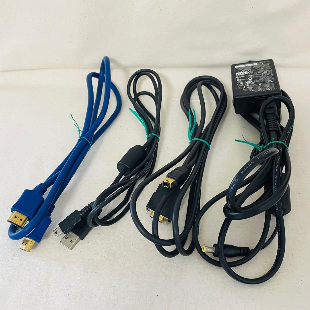 動作確認済　Panasonic HDC-DX1 ビデオカメラ　DVD-RAM付き