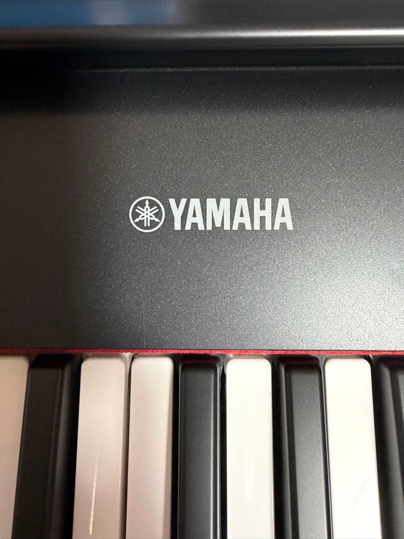2022年製 YAMAHA piaggero NP12