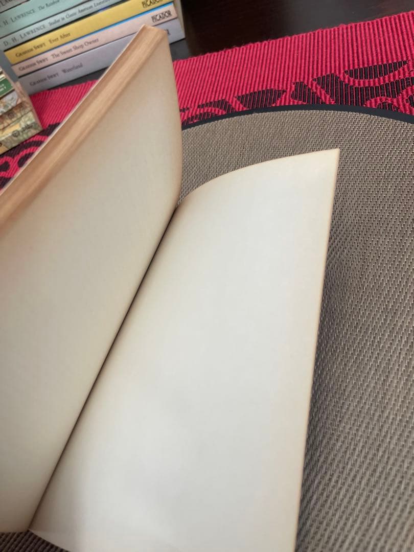 希少　Tony Tanner THOMAS PYNCHON