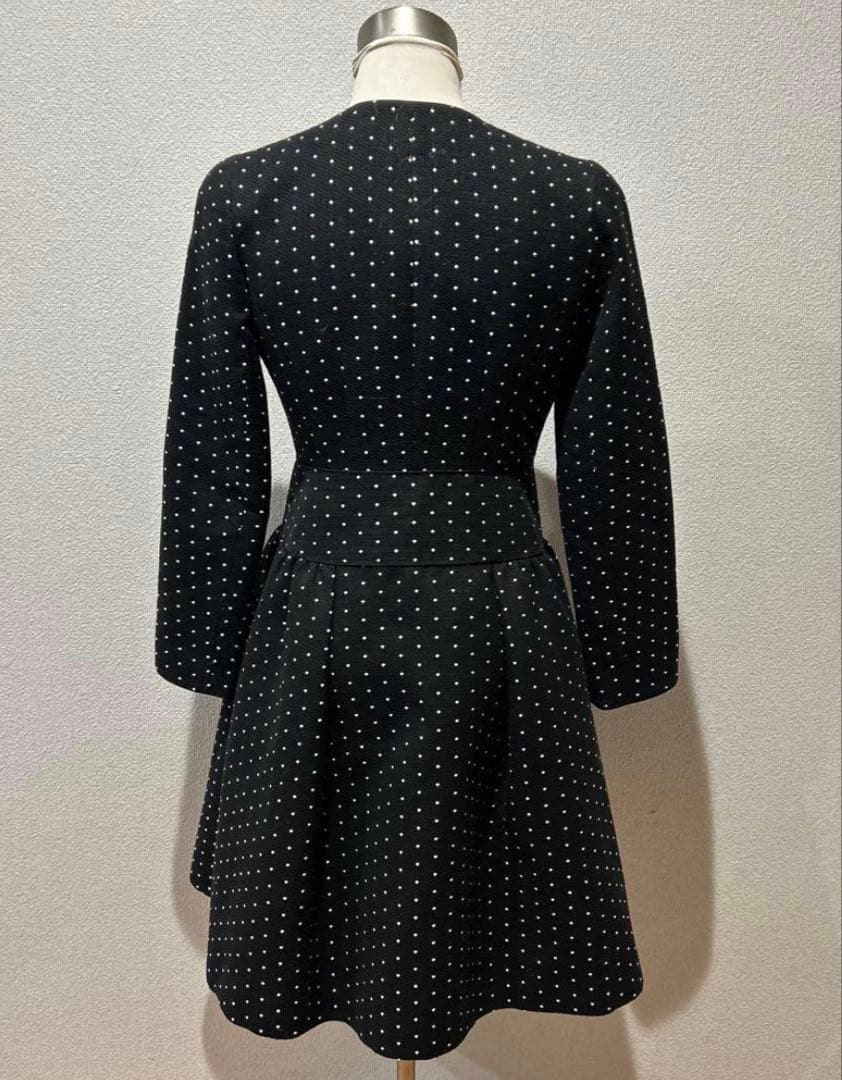Rene ルネ ドット フィット＆フレア コートワンピース 上品 美シルエット