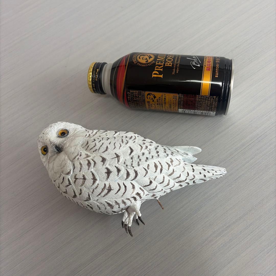 野鳥シロフクロウ　バードカービング　手彫り　リアル木彫り　ハンドメイド　一点物
