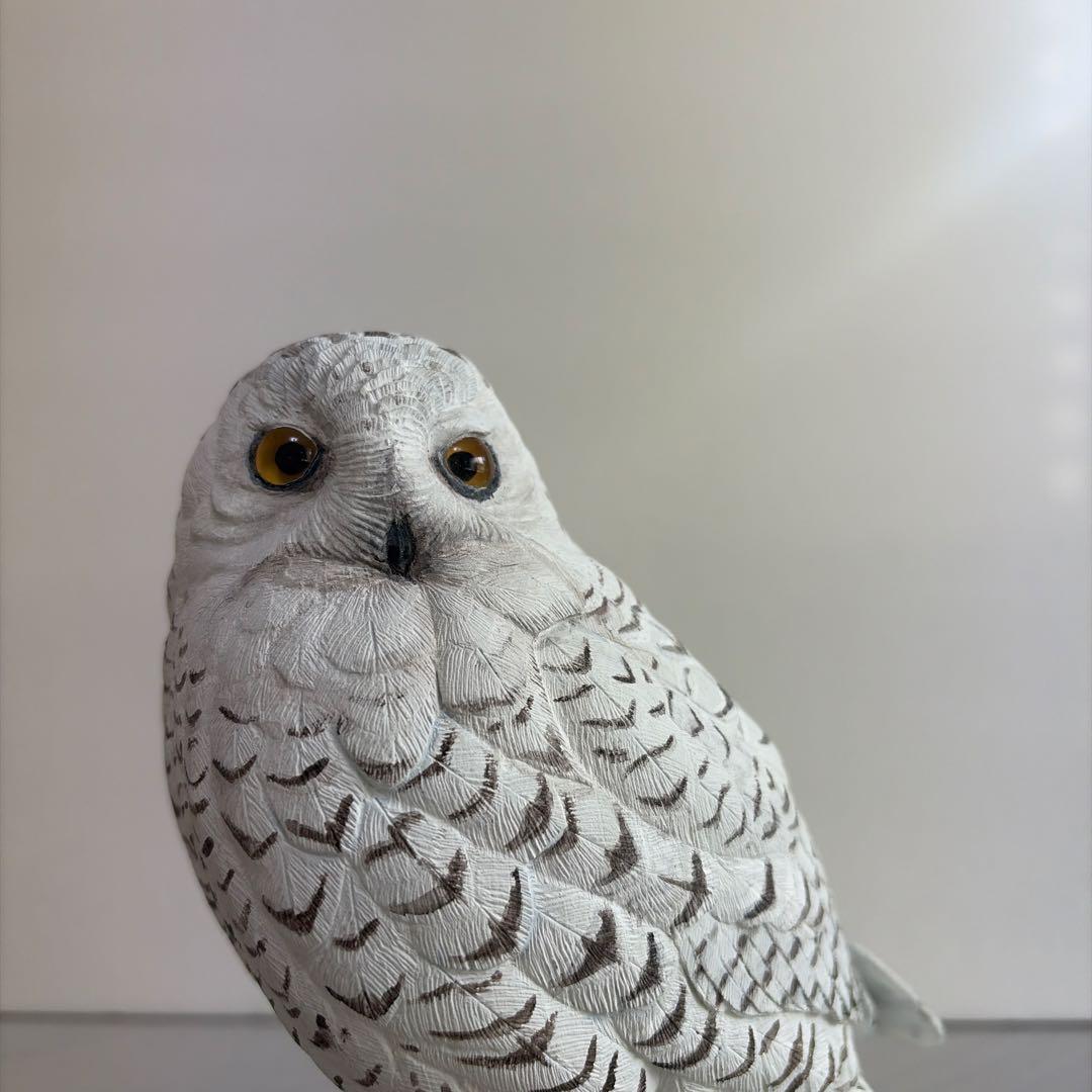野鳥シロフクロウ　バードカービング　手彫り　リアル木彫り　ハンドメイド　一点物