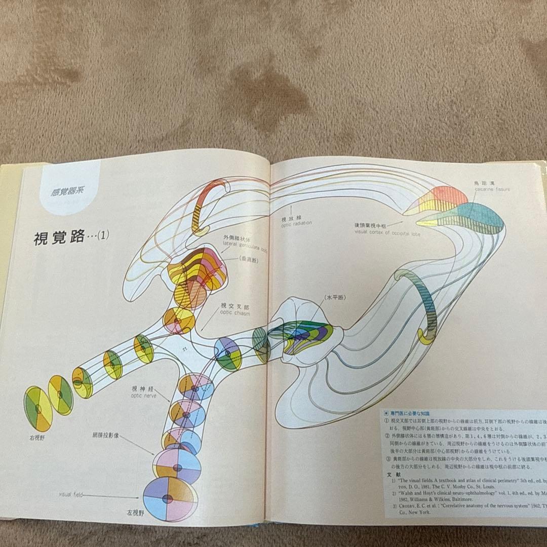 医学書　臨床のための神経機能解剖学　定価:税込¥17,600